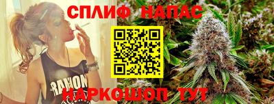 гашик Ипатово